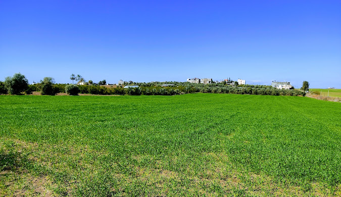 Beit Hanoun Landscape - مدينة بيت حانون